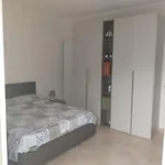 House 卡里尼